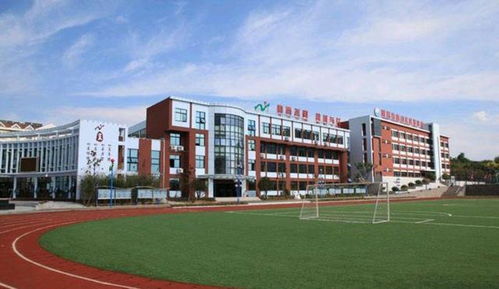 山东10强小学 青岛实验小学第一 济南甸柳第一小学第四