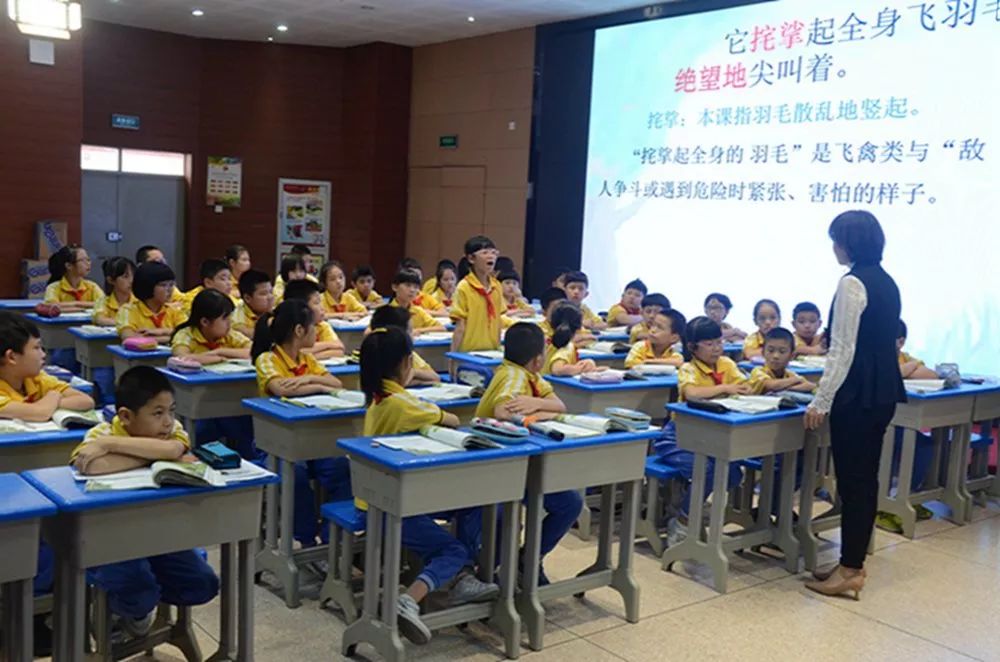 【八角楼动态】美丽的遇见,美好地切磋 --福建省名师兰臻工作室第二期培训班学员、漳州市名校长走进晋江实小参观交流