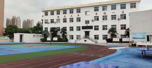 看地报告 规划实验小学旁,约87亩,巢湖又一低密品质盘将诞生