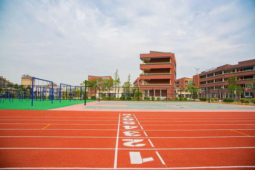 瞩目,平湖实验小学来啦