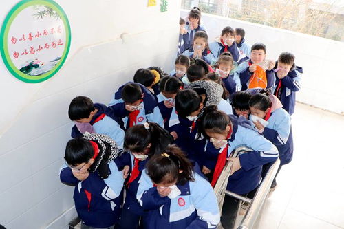 凤阳新闻网 实验小学的教育实践与成就