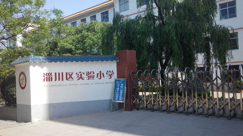 淄川区实验小学 培育未来，点亮梦想