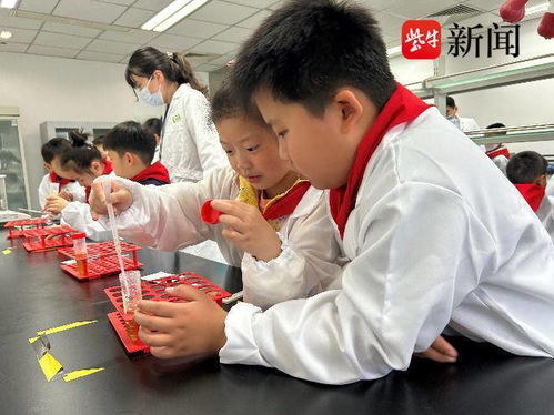 食品安全进校园——实验小学实验室开放日活动纪实