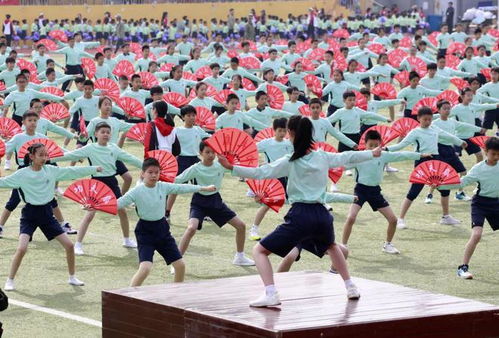 运动会时间开启 看京城中小学花式 整活儿