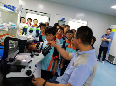 烟台市政府门户网站 高新区 第三实验小学开展“探索微观世界的奥秘”综合实践活动
