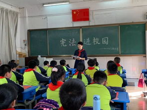 持续发力 全市宪法日精彩活动集锦 一